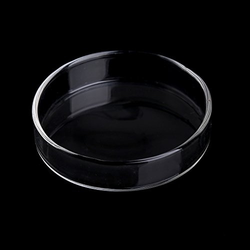 Shrimp Feeder Acrylic Dish Aquarium Fish For Tank Bottom Feeding Tray Reptiles Round Clear Food Bowl 2.4 Diameter Heater Light Thermometers Gravel Sand Decorations Filter Filter Light