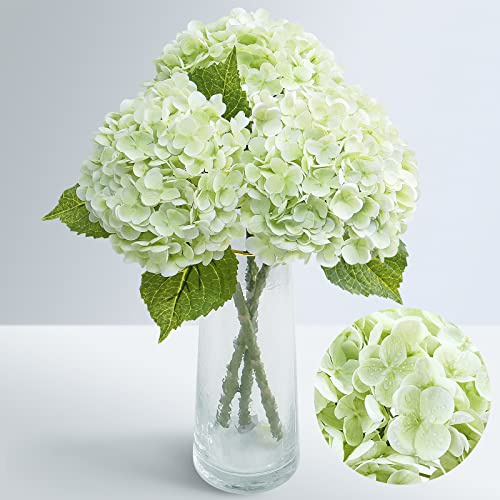 Waipfaru 21 Real Touch Hydrangea Artificial Flowers with Long Stem & Leaves, Full Latex Faux Hydrangea Flowers for Home Decor Party Floral Arrangements Wedding Bouquets Centerpieces, Green 3Pcs