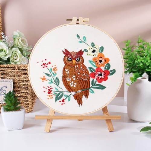 N.LANSHAN Embroidery Kit Stickmuster Für Eulentiere，Cartoon-Blumen，3D-Stickerei-Starter-Kit Mit Anleitung，Stickrahmen，Fäden Und Werkzeugen 30x30cm
