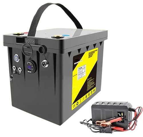 WILLQ DC 12V 100Ah 120Ah Rechargeable LiFePO4 Battery Pack Match with Inverter 5V PD with Charger and USB 12.8 Volts Lithium Battery,12.8V120Ah