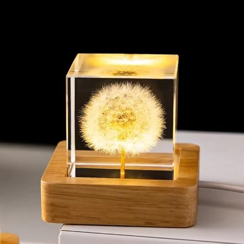 DESHINTKE Briefbeschwerer, echter Löwenzahn, mit leuchtendem Sockel, Ewige Blume