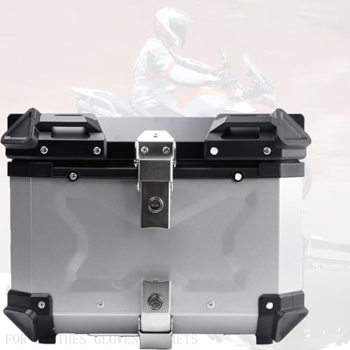 Motorrad Heckbox Mit, Aluminiumlegierung Topcase,Waterproof Top Case Box Motorcycle,Wetterbeständig,Universal-Aluminium-Motorradgepäck, Helm-Topbox Mit Einbruchschloss (Color : Silver, Größe : 8