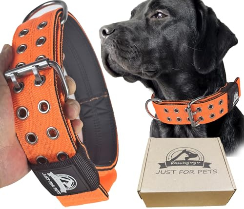 Kawagogo 4-lagiges Nylon-Halsband für große Hunde, taktisches Militär-Training, robustes Hundehalsband für extra große Rassen (Orange, Größe: XL, verstellbar: 53,3 - 68,9 cm, passend für: riesige