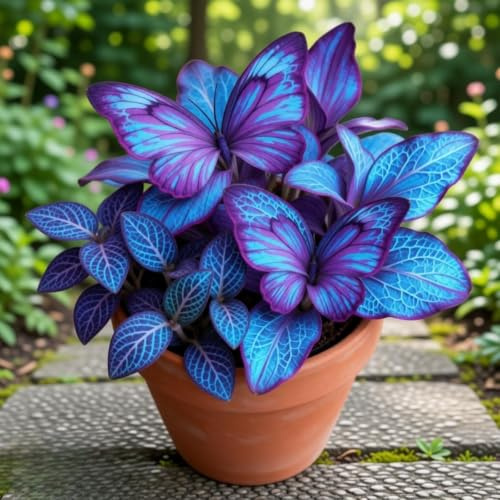Kälteresistente langlebige exotische Hosta, Gartenbetreuung von Funkien, blütenbildend, Perfekte Gartenpflege, Einzigartige Hosta-4Rhizome-E