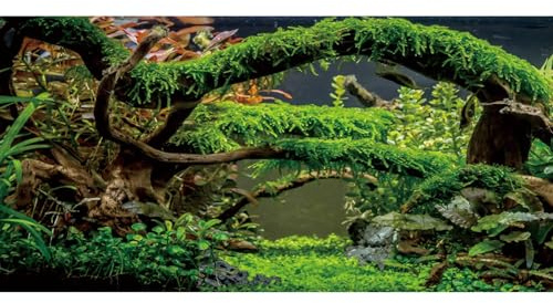 MIRRORANG 120x61cm Aquarium Hintergrund Zweige Terrarium Hintergrund Wasserpflanze Flussbett & See Aquarium Hintergrund Vinyl Hintergrund