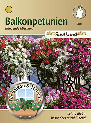 Balkonpetunien Hängende Mischung Saatband für Balkon & Terrasse sehr beliebt besonders reichblühend Petunia 53040