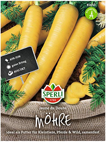 81650 Sperli Premium Möhren Samen Futtermöhre | Lagerfähig | Intensiver Geschmack | Gelbe Futterkarotten Samen