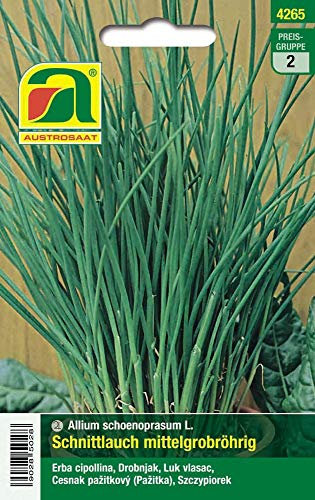 Austrosaat 4265 Schnittlauch Mittelgrobröhrig (Schnittlauchsamen)