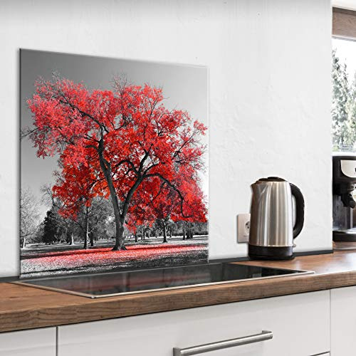 murando Glass Splashback for Kitchen Backsplash Cooker Protector Tempered Glass Decorative Wall Art Panel Heat Resistant Graphic 60x60 cm / 24x24 Nature Tree red black Maple c-B-0517-aq-a