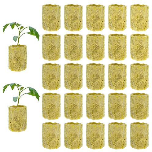 Gativs Steinwolle 50 Stück Steinwolle Anzucht Rockwool Cube Steinwolle Plugs Steinwolle Pflanzenstopfen Steinwolle Cube Hydroponic Sämling Steinwolle für Die Aussaat Steinwolle Würfel Anzuchterde