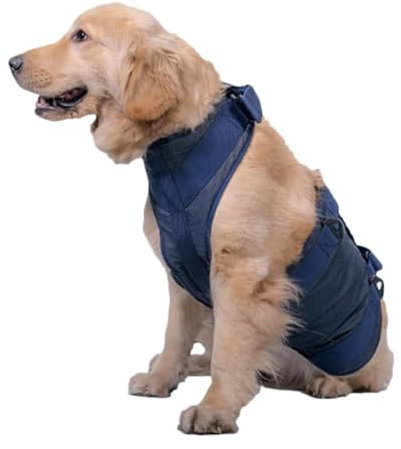 PJDDP Hunde-Tragegurt, Notfall-Rucksack, Haustier-Beine, Unterstützung Und Rehabilitation, Hunde-Hebegeschirr Für, Hundeträger Für Gelenkverletzungen Älterer Hunde,Blau,M