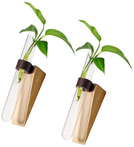 Tsangbaby 2 Stück Reagenzgläser für Blumen, Reagenzglas Vase, Propagation Station Ohne Bohren Wandvase, Hängender Behälter für Wasserkultur Zum Dekorieren Von Zuhause, Büro, Zimmer, Flur, Fensterbank