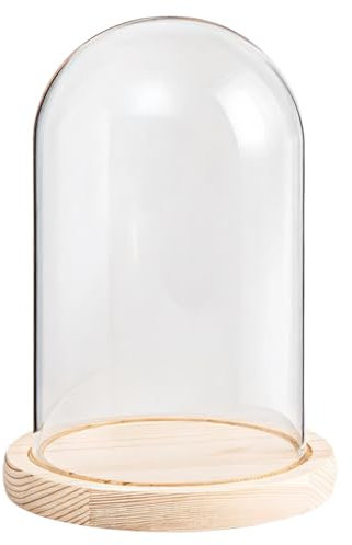 Campana in vetro con base in legno, trasparente, per statuette, piante, modelli e decorazioni, 20 x 14 cm