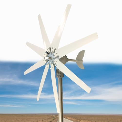 Glowdora Aerogenerador Vertical De 8 Palas, Aerogenerador Horizontal De 12v/24v/48v/110v/220v con Controlador, Ideal para Exteriores (Blanco),12000W-24V