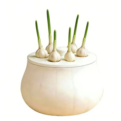 Vases hydroponiques – réutilisables antidérapants sans sol pour petits espaces, couvercles pour pot de bourgeons pour ail | pour oignon jacinthe jonquille à la maison bureau dortoir balcon patio