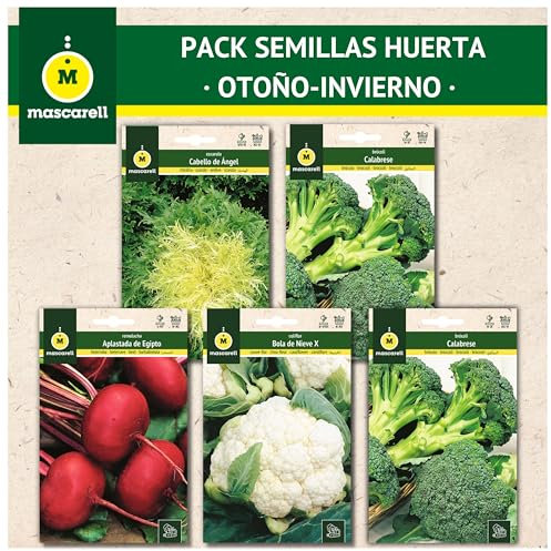 Mascarell Semillas, PACK SEMILLAS HUERTA OTOÑO-INVIERNO, Kit Huerto en Casa, Fácil de Cultivar, Contiene Brócoli, Col Repollo, Coliflor, Escarola & Remolacha, 5 Sobres