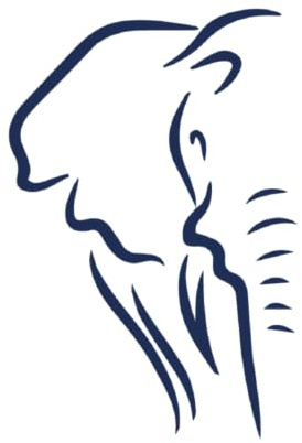 Tattwo.me – Temporäre Tattoos für Erwachsene und Kinder, hält 2 Wochen, wasserfest – Elefant – Pflanzliche Tinte – EU-Kosmetik-Zertifikat – (P0718)