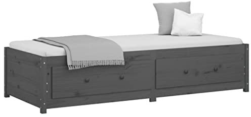 HEFZGDB Tagesbett Grau 90x200 cm Massivholz Kiefer Bette Gästebett Bettgestell Doppelbett für Wohnbereich Herberge Schlafzimmer Gästezimmer