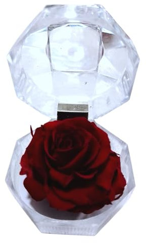 Genérico Rosa Eterna ROJA en joyero. Regalo Original. Rosa ROJA preservada. Rosa ROJA Natural preservada. Decoración Elegante. Regaslo Enamorados, cumpleaños, Aniversario, Dia de la Madre.