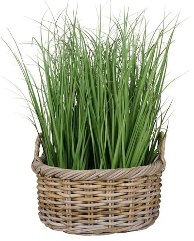 Natur Rattankorb NORDERNEY Kubu Grey ca.40cm Pflanzkorb Griffe Übertopf Korb Aufbewahrungskorb