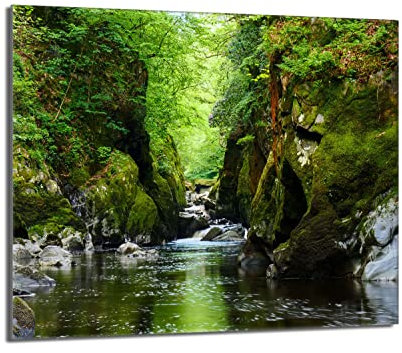 DarHaus Plaque de recouvrement, 60 x 52 cm, en verre, pour cuisinières électrique, à induction, convient comme décoration, protection anti-éclaboussures ou planche à découper, Paysage Forêt