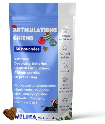 Arthrose Chien - 60 bouchées - 11 Actifs puissants (Glucosamine Chondroïtine, MSM, Moule Verte, harpagophytum) - Anti inflammatoire - Complement Alimentaire Chien - Nouveau Format