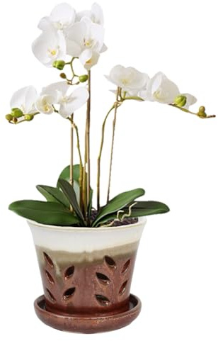 vensovo Maceta de cerámica para orquídeas de 6 pulgadas, maceta de orquídeas con agujeros para trasplantar, maceta de cerámica con platillo para plantas de interior/exterior, color marrón