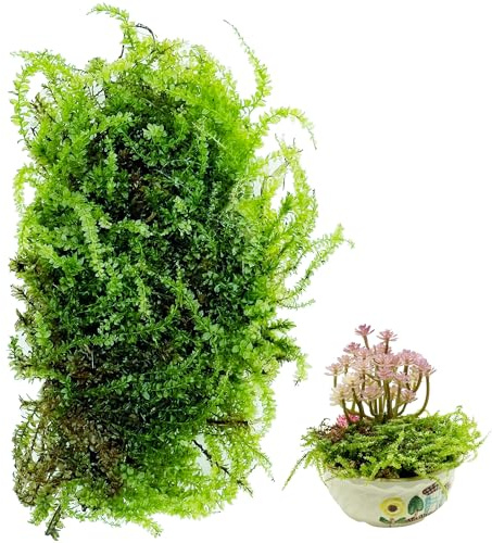 Cayway Static Herbe Tufft, fausse mousse verte, fausse mousse artificielle décorative pour plantes en pot, centres de table, décoration de jardin féerique (forme 2)