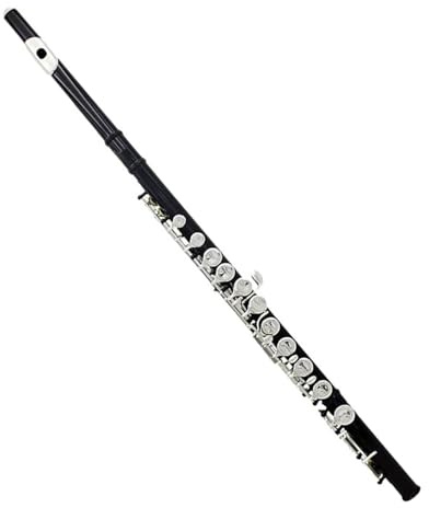 16 Stängda Öppna Hål C Key Tvärflöjt Konsertinstrument Med Tillbehör För Student Tvärflöjt Kit (Color : Black)