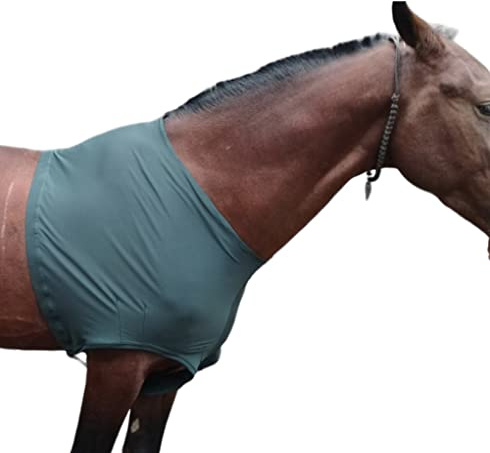 Majestic Ally Premium 4-Way Stretch Spandex/Elastane Horse Shoulder Guard for and Protection, Large, Hunter Green