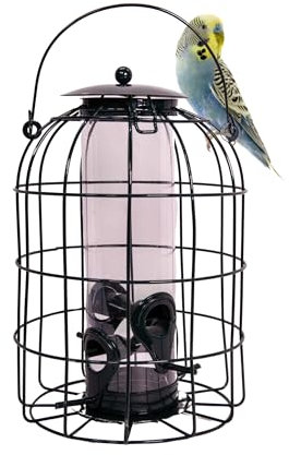 Samuel ALEXANDER Pack of 2 Wild Bird Seed Feeder Cage with Squirrel Guard – Hanging Squirrel Proof Bird Feeder for Seeds, Sunflower Hearts & Peanuts – Metal Mesh Bird Feeders for Garden Birds