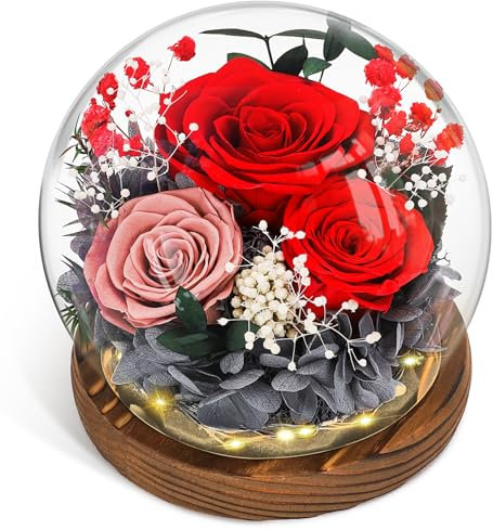CSYY Ewige Rose, Glas Infinity Glasrose Konservierte Unendliche Haltbare Rote Blume Licht Eternal Geschenke Frauen Mama Freundin Ehefrau Valentinstag Geburtstag Rot