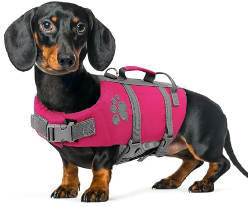 Queenmore Small Dog Life Jacket, Ripston Puppy Life Vest, Small Dog Life Vest for Swimming, Safety Doggie Swimming Vest with Handle, Puppy Life Vest for Boating Pet Lifesaver for Swim Water Pool