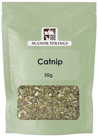 Extra Strong Catnip Herb 50g – Premium Natural Catnip for Cats – Long Lasting & Potent – by Manor Springs