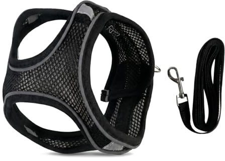 Dog Harness and Lead Set, Small Dog Harness with Leash | Breathable Mesh Puppy Collar and Lead Sets for Extra Small Dogs, Black S,Ideal for walking the dog or outdoor use