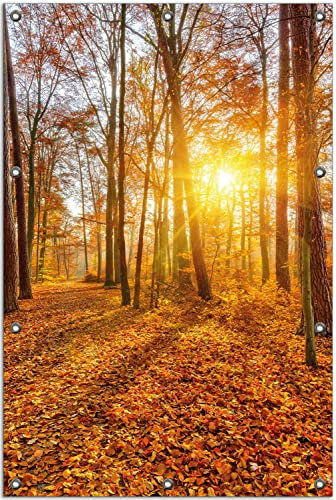 Wallario Outdoor-Poster für Garten oder Balkon Sonnenuntergang im herbstlichen Wald, Motivbanner Größe: ca. 80 x 120 cm, Outdoor-Bild