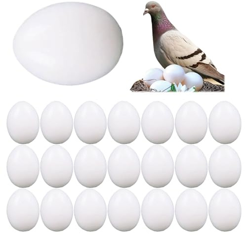 22 Stk Taubeneier,Gefälschte Eier für Vögel,Tauben falsche Eier,Simulierte Taubeneier Kunststoff,Eier für Taubenvögel,weiße gefälschte Eier,Künstliche Eier mit Taube,Gefälschte Vogeleier,weiß Bruteier