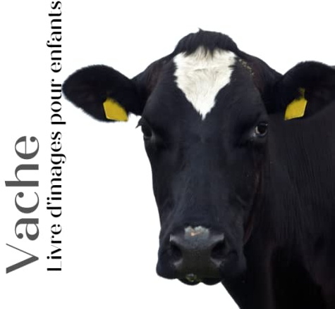 Livre d'images pour enfants - Vache: Découvrir les Vaches en image - Enfants de 2 à 5 ans