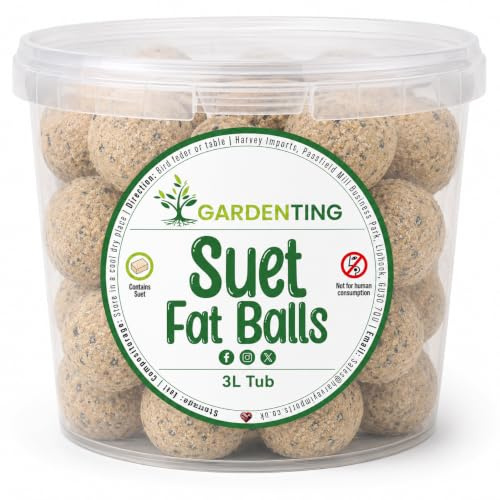 Garden Ting Premium Suet Fat Balls for Wild Birds, 3 Litre Tub