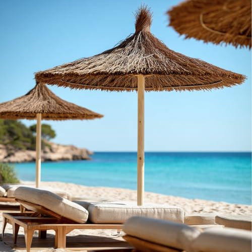 CATRAL Manto de Brezo Natural Sunprotect BRU Ocultación y Sombra para Jardín 2 M