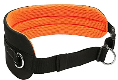 LASALINE Canicross Gürtel Bauchgurt für Hundeleine Dogtrekking Gürtel in Schwarz Neonorange