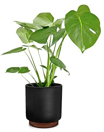 Fox&Fern Übertopf M mit Holzsockel - Blumentopf Gross inkl. Wasserabfluss - Blumentopf hoch 28cm - Übertöpfe für Zimmerpflanzen - 25cm Durchmesser - Pflanzentöpfe groß - schwarz