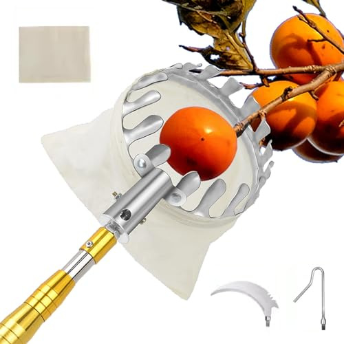 Asta Telescopica Raccogli Frutta Melograno, Raccoglifrutta, Morsetto In Metallo Bastone Telescopico per Raccogli Fichi D'India/ Cachi/ Melograno, Telescopico da 2-7 Metri ( Color : B , Size : 6m(19.6f