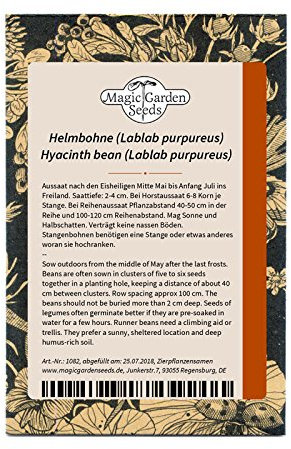 Dolico egiziano (Lablab purpureus) - circa 10 semi