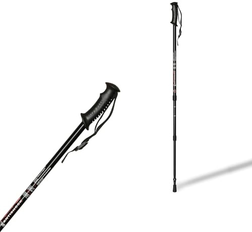 Segorbina de Bastones Bastón de Trekking Extensible Aluminio Color Negro (544)