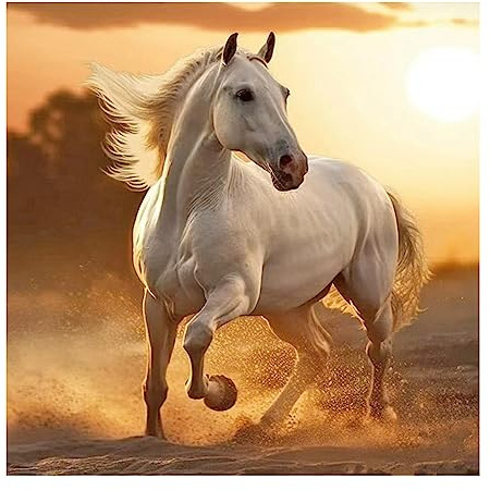 SHEGZHUC Square Diamond Painting Pferd Weiß 40x40 cm 5D Diamant Painting Kinder Bilder Malerei Diamond Painting Pferde Quadratisch Steine Malen nach Zahlen Erwachsene Pferde Painting Springendes Pferd