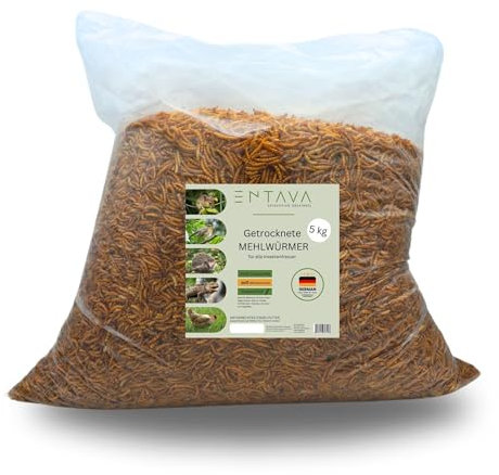 ENTAVA getrocknete Mehlwürmer Premium Qualität - Insektensnack Vögel, Fische, Koi, Schildkröten, Nager, Reptilien, Vogelfutter, Wildvögel, Igelfutter (5kg)