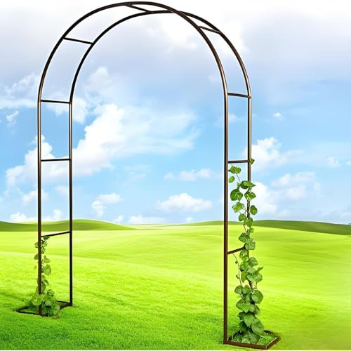Pergolato da giardino in metallo robusto pergolato pergolato da 0,8 m a 3,5 m, finitura bronzo, supporto da esterno per piante rampicanti e fiori (200 cm di larghezza x 230 cm di altezza)