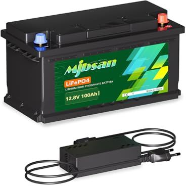 12 V 100 Ah LiFePO4-Batterie Bis zu 7000 Lithium-Eisen-Phosphat-Tiefzyklusbatterien mit BMS für Wohnmobile, Wohnmobile, Solarboote, Golfwagen, Energie, Not-, Reihen- oder Parallelbetrieb
