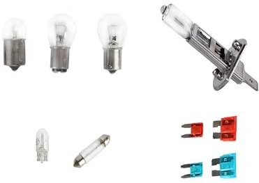 Autolampen Set Glühlampen Ersatzkasten Halogen H1 12V für PKW Scheinwerfer, Bremslicht, Rücklicht, Rückfahrlicht, Blinker, Innenraum, Kofferraum, Nebellicht